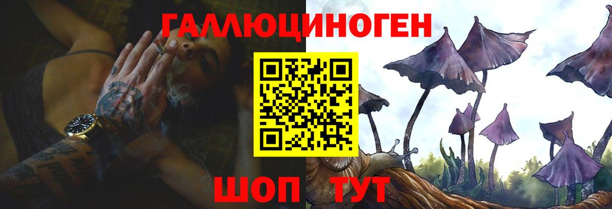 Галлюциногенные грибы Psilocybine cubensis Унеча